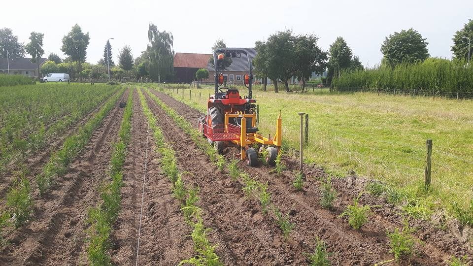 Coniferen planten: werk van Loonbedrijf Van Kleef