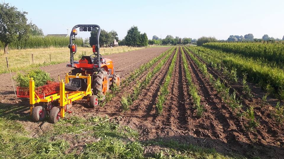 Coniferen planten bij een project van Loonbedrijf Van Kleef