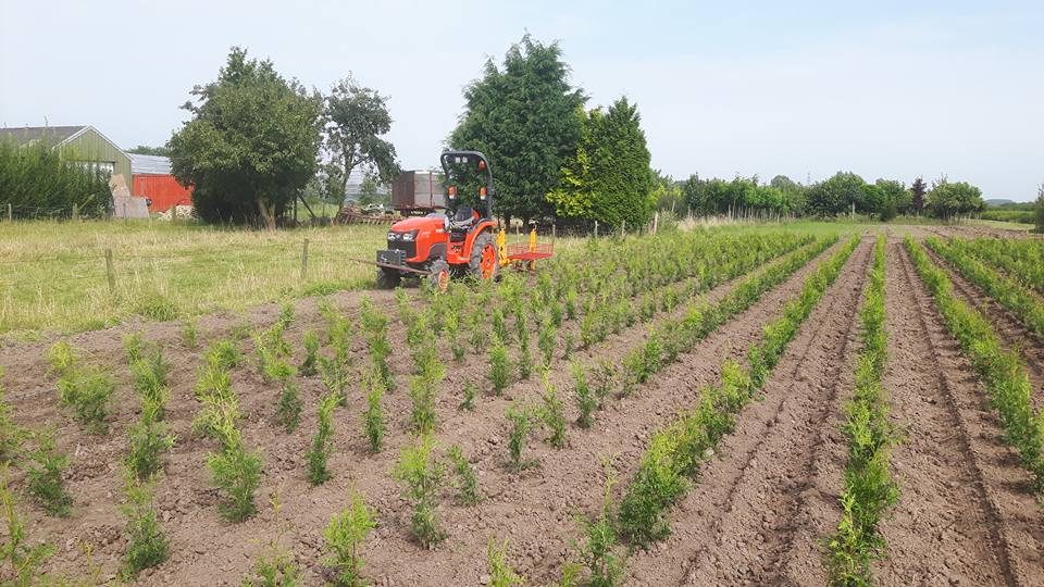 Coniferen planten door Loonbedrijf Van Kleef