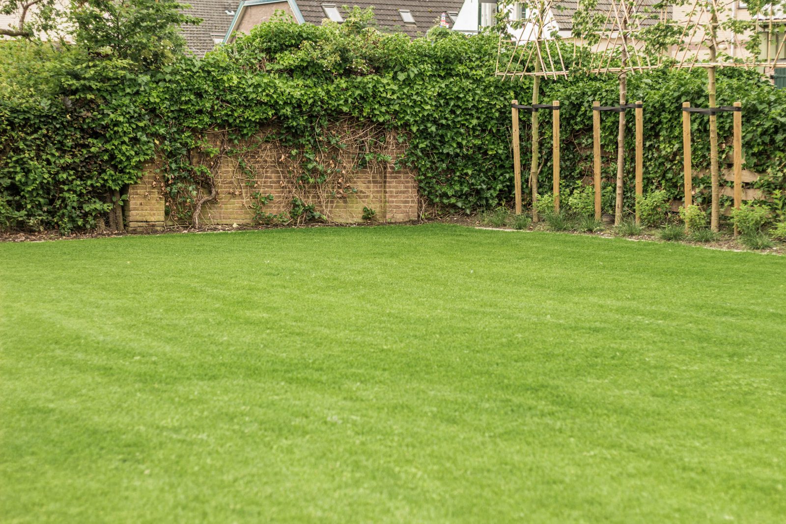 Gras op een weide in Lienden