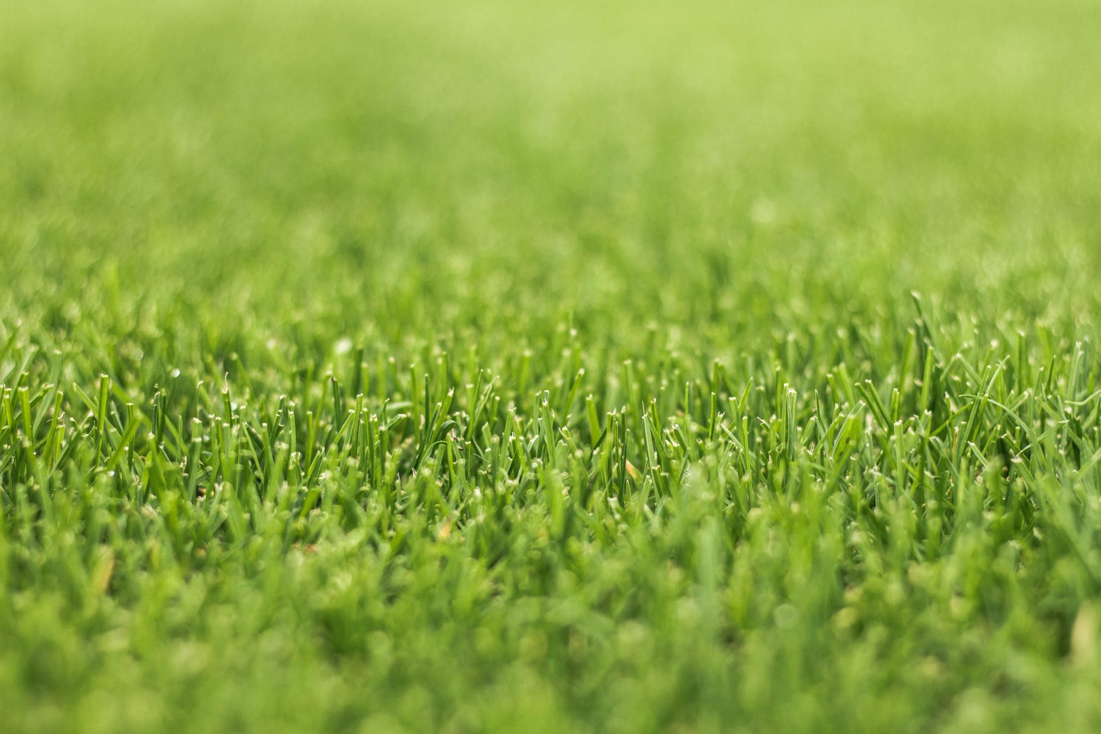 Grastotaal aan het werk op een grasveld in Lienden