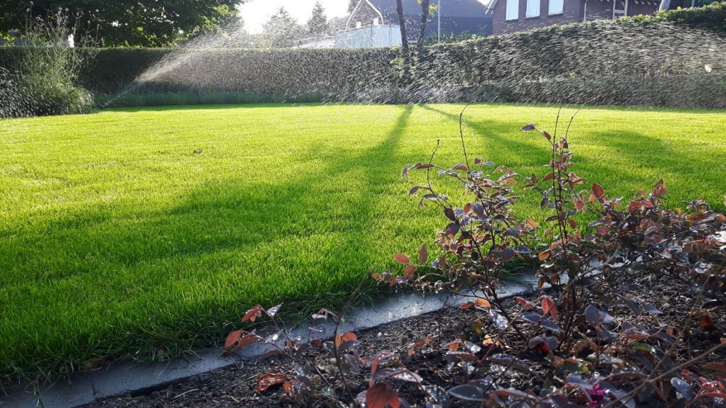 Sproeiers beregenen een gazon, met een border op de voorgrond