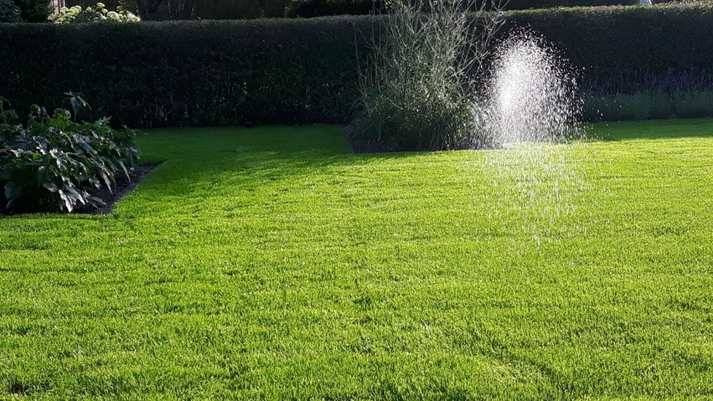 Een sproeier beregent een gazon voor een haag