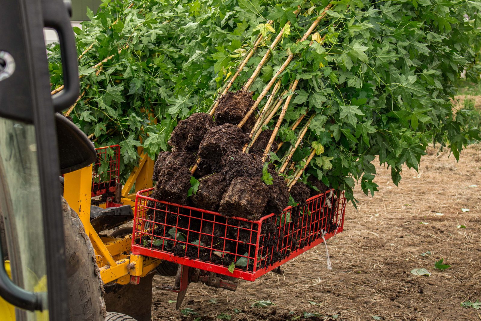 Machinaal planten door Loonbedrijf Van Kleef in Lienden
