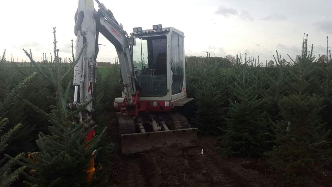 Kerstbomen rooien met kluit door Loonbedrijf Van Kleef