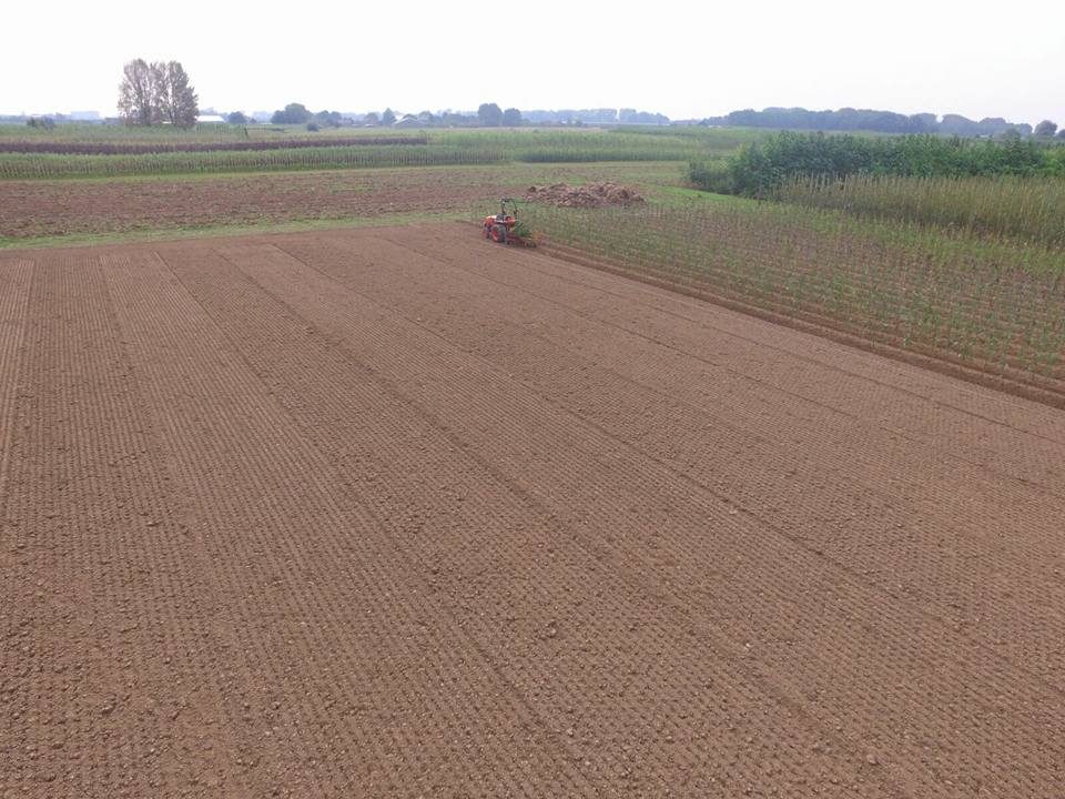 Plantwerkzaamheden door Loonbedrijf Van Kleef