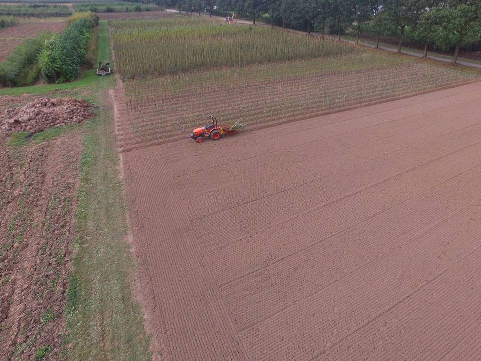 Planten: een impressie van ons werk