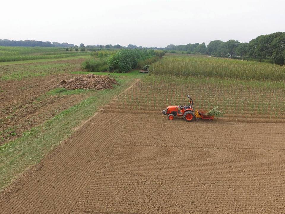 Plantwerkzaamheden door Loonbedrijf Van Kleef